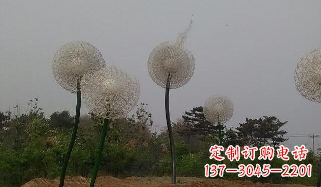 日照蒲公英的绚丽多彩