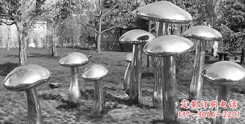 日照萌芽之美,蘑菇景观雕塑