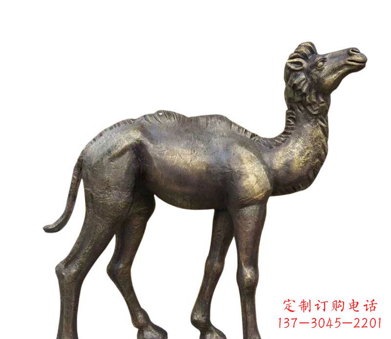 日照奇美洁净的骆驼铜雕