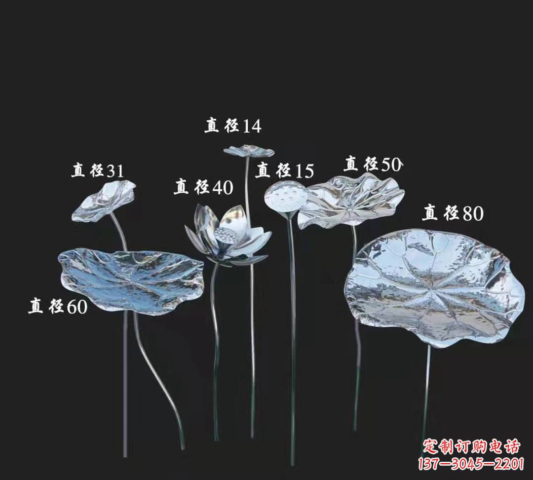 日照拟定