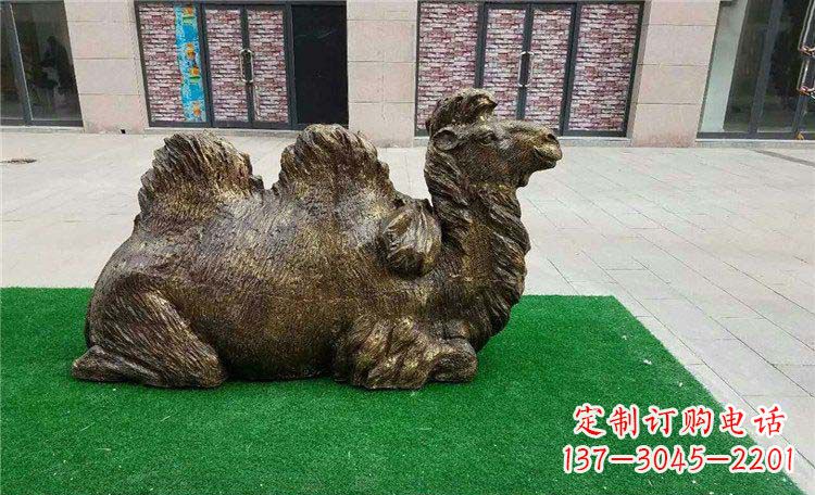 日照卧着的骆驼动物铜雕