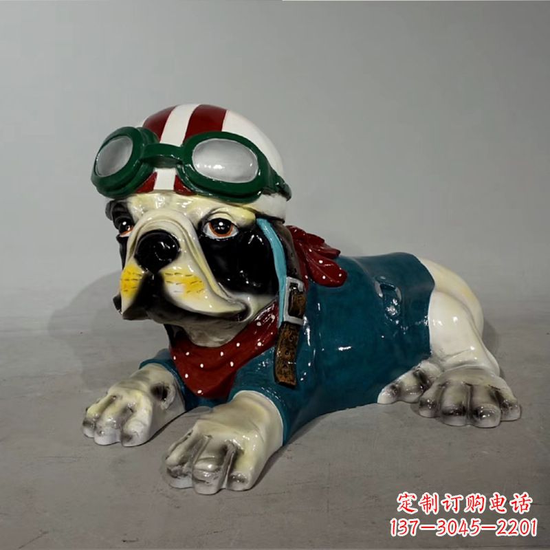 日照宇航员斗牛犬