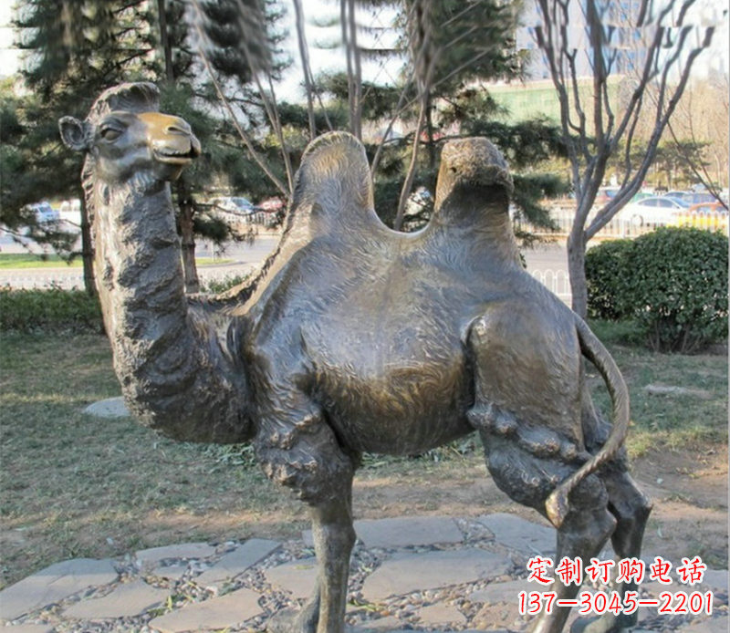 日照骆驼铜雕塑